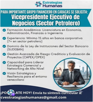 Vicepresidente ejecutivo